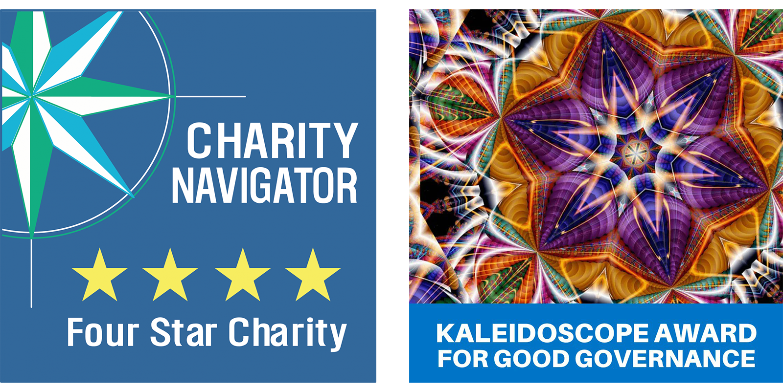 A kaleidoscope design above the text "Kaleidoscope Award For Good Governance" and the Four Star Charity Rating from Charity Navigator logo.